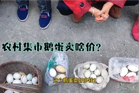 四川农村鹅蛋也涨价了，看买6颗鹅蛋要花多少钱？大吃了一惊