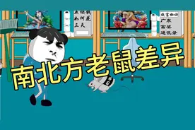 南北方老鼠差异搞笑版视频封面