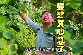 这久食欲不佳，浑身乏力，也不知道自己是不是？哎！视频封面