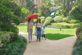 上海之巅看东方明珠什么感觉？陪女儿登顶一览众山小，场景太震撼视频封面