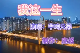 我跌跌撞撞撬开所谓成功，只为家里笑声多一点！《我这一生》视频封面