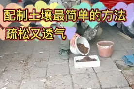 配制土壤最简单的方法，疏松又透气，家庭养花种菜都不错视频封面