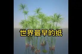 世界上最早的纸是埃及的莎草纸，已经有三千四千多年的历史视频封面