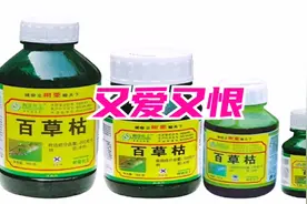 发明人：欲卖此药，先出解药，百草枯真的是一个被耽误的伟大发明视频封面