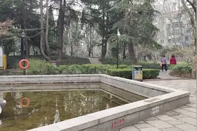 “当你能忍住什么都不问，不在意的时候，你就能过好自己的生活”视频封面