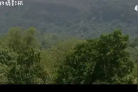 中国远征军（三）兵败野人山视频封面