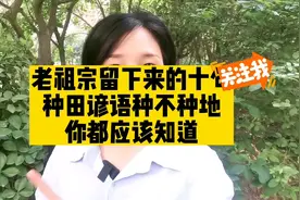 老祖宗留下来的十句种地谚语种不种田你都应该知道视频封面