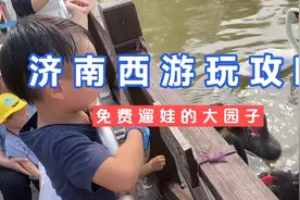 济南的西部也有不需要高消费满足带娃游玩的地方，今天带你去湿地视频封面