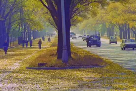 1986年的人民大街。视频封面