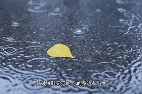 俗语“四十不多欲，五十不多情”却少有人知！小武解释给你听！视频封面