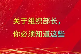 关于组织部长，你必须知道这些视频封面