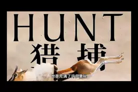 蜘蛛雨的神秘事件视频封面