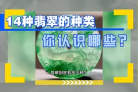 14种翡翠的种类你认识哪些？视频封面