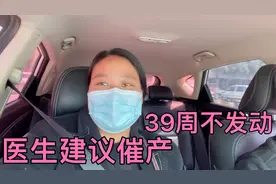 燕子怀孕39周，肚子每天会痛就是不发动，医生建议催产，太急人