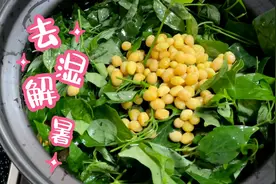 广东人熟悉的九干菜.好处这么多.现在这个季节最适合. 清热明目视频封面