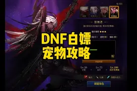 DNF白嫖宠物攻略视频封面