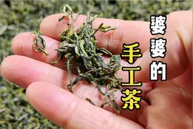 71岁婆婆采茶炒茶都是一把手，城里难买到的纯手工茶，清香四溢视频封面