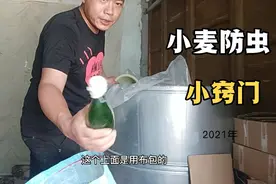 储存小麦别用熏麦药  30年防虫秘诀  十块钱搞定 三年保证不生虫