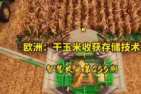 智慧农业255期：欧洲干玉米收获存储技术！收获后露天储存袋存放视频封面