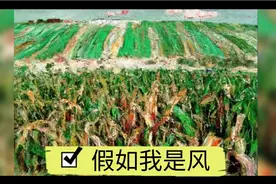 假如我是风视频封面