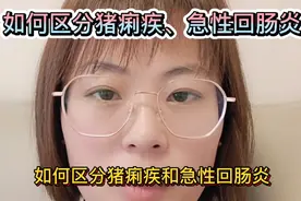 如何区分猪痢疾、急性回肠炎视频封面