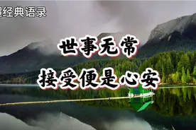 人生就是一个奋斗的过程，做到无悔便是成功，看淡得失，简单生活视频封面