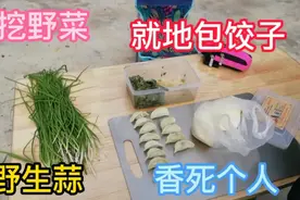 西安农村地里的特色野菜，包饺子特别好吃，很有风味视频封面