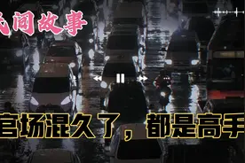 都说官场处处是坑，如何避坑，混久了，都是高手视频封面