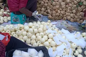 纯白颜色的苹果你见过吗？黄香蕉的替代品视频封面