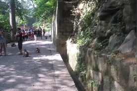 试着来两段西南方言之贵阳方言，听懂的朋友留个言点个赞。