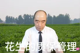 花生的针，为什么扎不到土里。