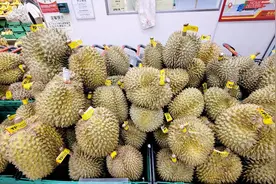 澳门超市小哥手撕榴莲，这种品质算不算翻车？超级喜欢开榴莲盲盒视频封面
