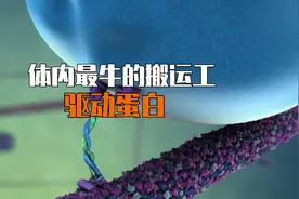 人体内最牛的搬运工，驱动蛋白视频封面