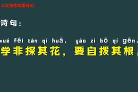 如何快速提升公文写作水平？笔杆子都在用的素材库推荐给您视频封面