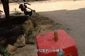 1972年的1分硬币，专家测定价超过120万！视频封面