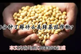 3分钟了解什么是转基因作物？（AI视频生成计划）视频封面
