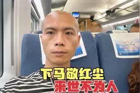 今生已不再寻觅，下马敬红尘，来世不为人