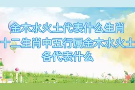 金木水火土代表什么生肖， 十二生肖中五行属金木水火土，各代表视频封面