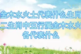 金木水火土代表什么生肖， 十二生肖中五行属金木水火土，各代表视频封面