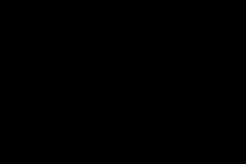 德国表情包，有兴趣去看原版视频封面