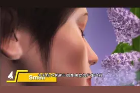 太神奇了，人嗅觉的产生过程，3D演示。。视频封面