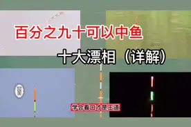 百分之九十可以中鱼的十大漂相（钓技精进）