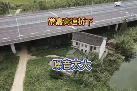 高速公路桥下的拆迁遗留户，每天在高分贝下生活，苦不堪言视频封面