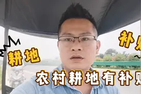农村耕地地力补贴，需要去地里面确认耕地，不然补贴不了视频封面