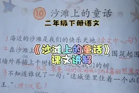 二下《沙滩上的童话》课文讲解，勇敢善良的孩子，美丽动人的童话视频封面
