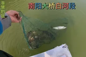 夏季钓鱼把握住这个黄金时间段、钓鱼告别空军鱼获满满.视频封面