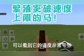 我的世界:教你繁殖突破速度上限的马