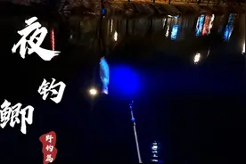 春天夜钓应注意这几个点，线组饵的配合，好的线组才会有好的鱼获视频封面
