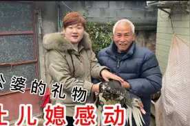 远嫁儿媳回娘家过年，公婆给亲家准备了啥礼物？不值钱却让人感动视频封面
