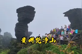 贵州梵净山7月31日前，免门票，又有什么理由不去呢？视频封面